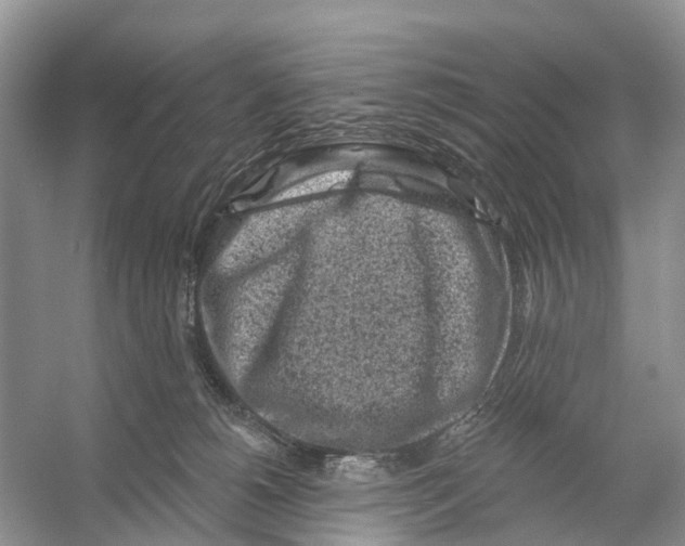 X0000053140180200508081354