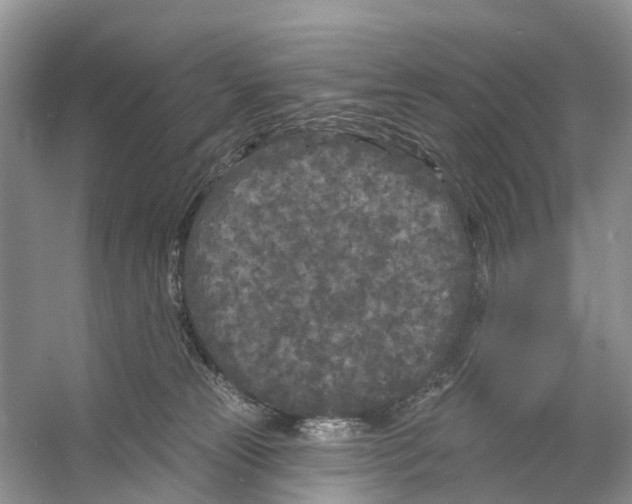 X0000053140181200508081354