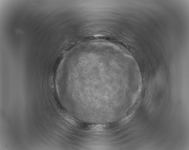 X0000053140182200508081354