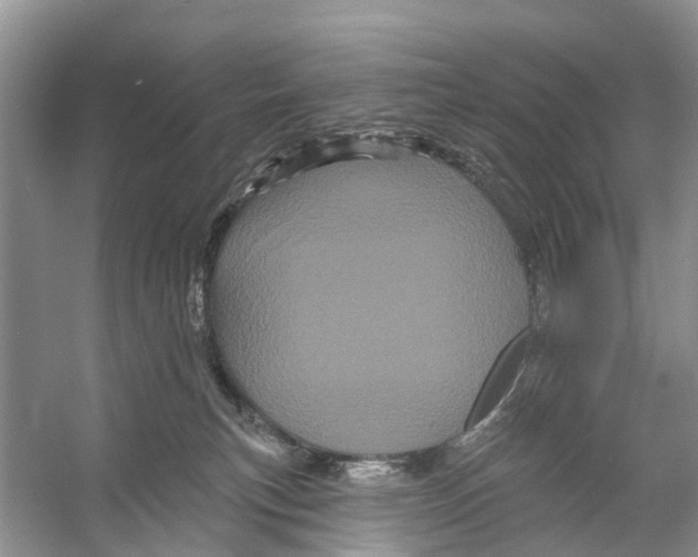 X0000053140183200508081354