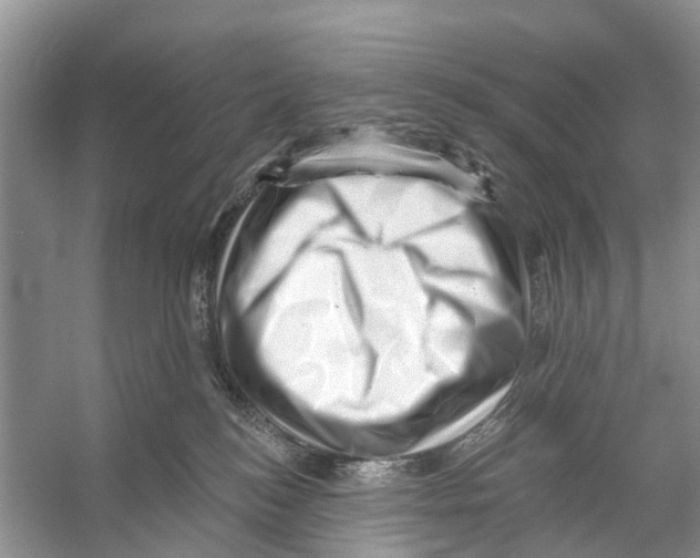 X0000053140184200508081354