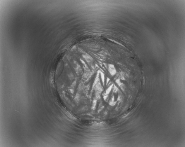 X0000053140185200508081354