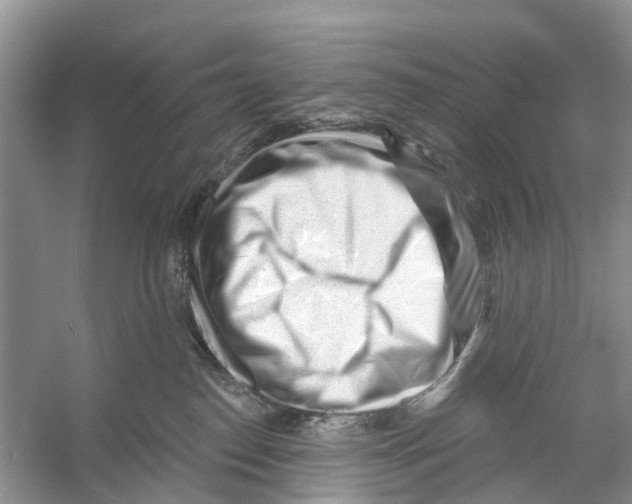 X0000053140186200508081354