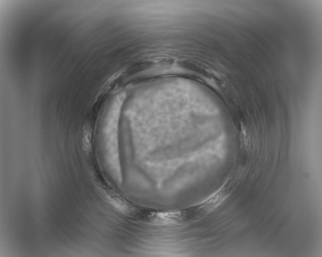 X0000053140188200508081354