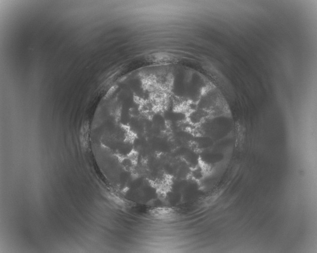 X0000053140189200508081354