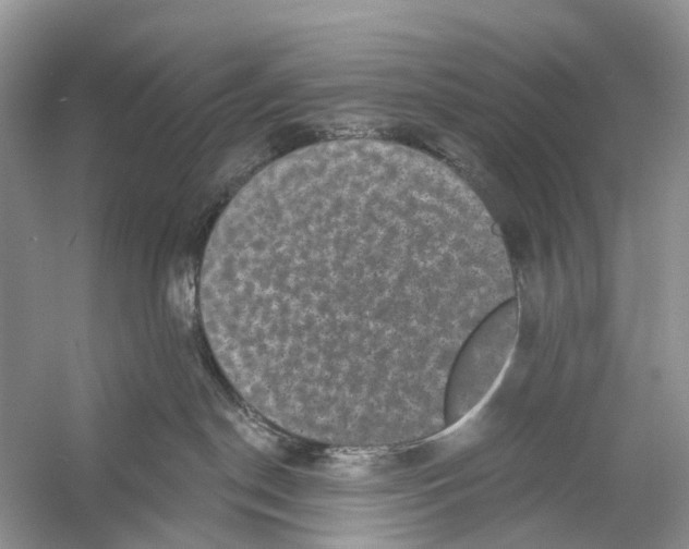 X0000053140190200508081354