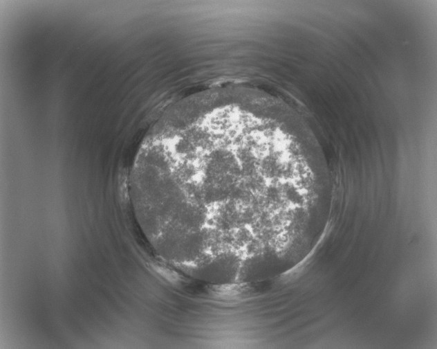 X0000053140191200508081354