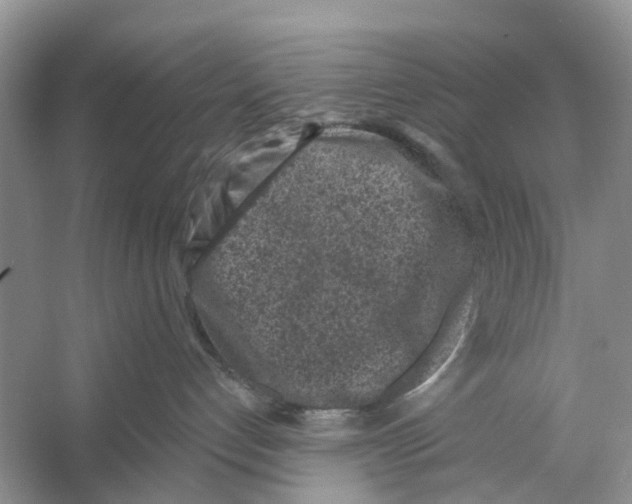 X0000053140192200508081354