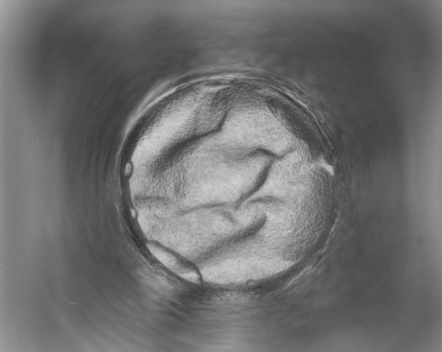 X0000053140198200508081353