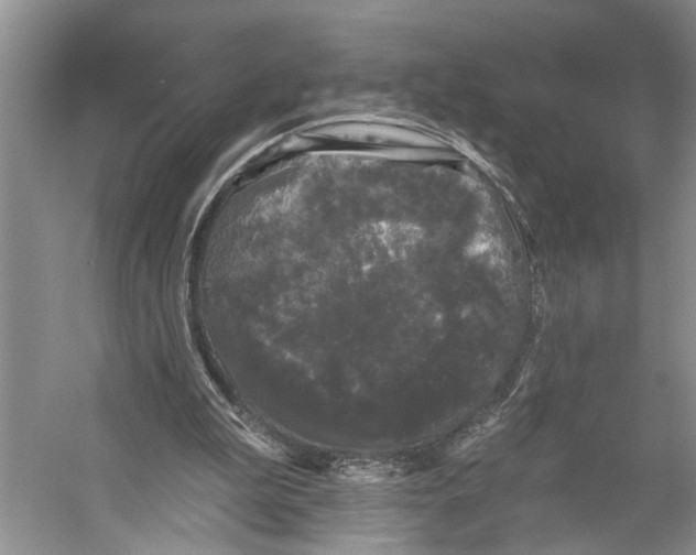 X0000053140199200508081353
