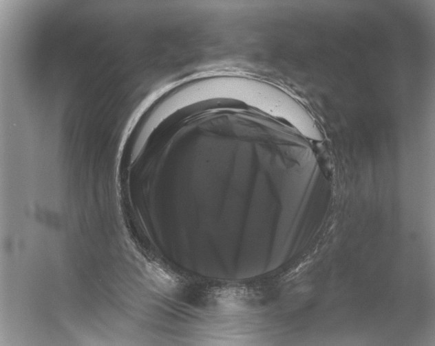 X0000053140200200508081353