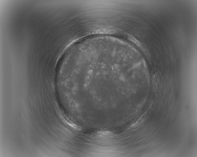 X0000053140203200508081353