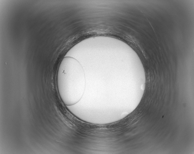 X0000053140212200508081353