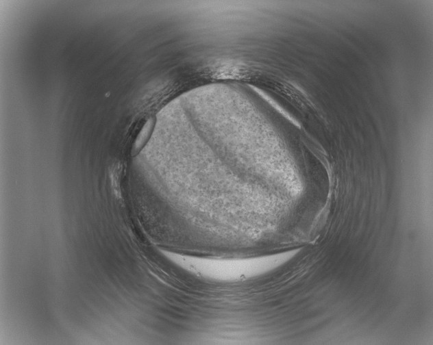 X0000053140217200508081353