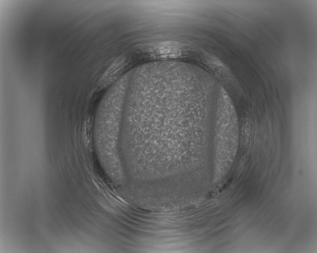 X0000053140218200508081353