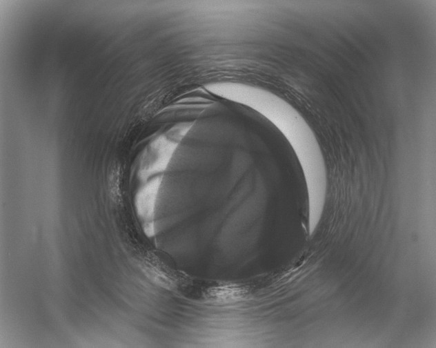 X0000053140219200508081353