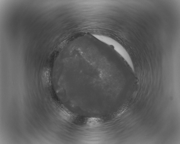 X0000053140222200508081353
