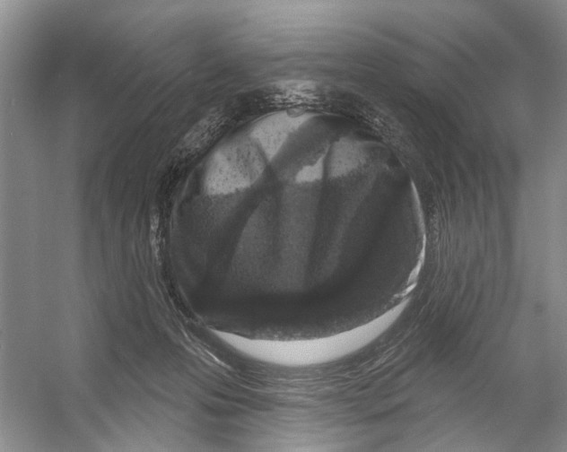 X0000053140223200508081353