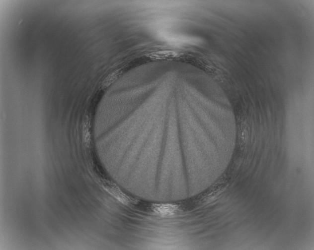 X0000053140226200508081352