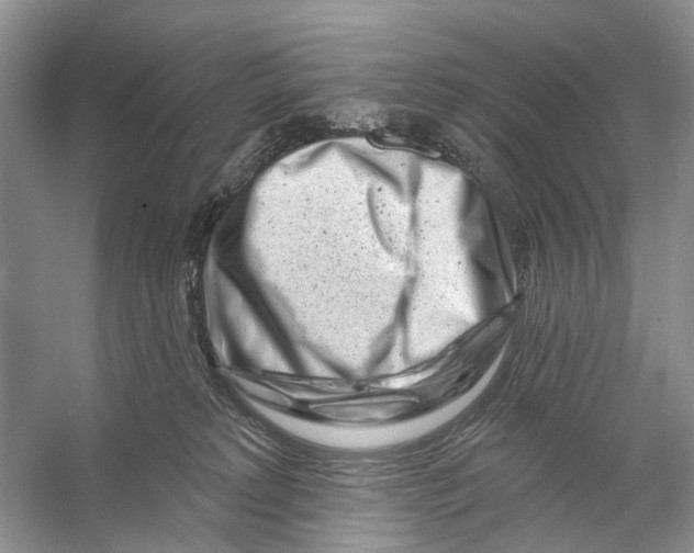 X0000053140229200508081352