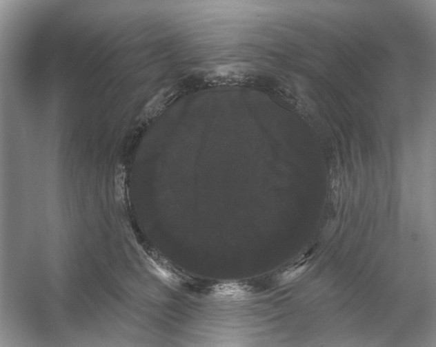 X0000053140231200508081352