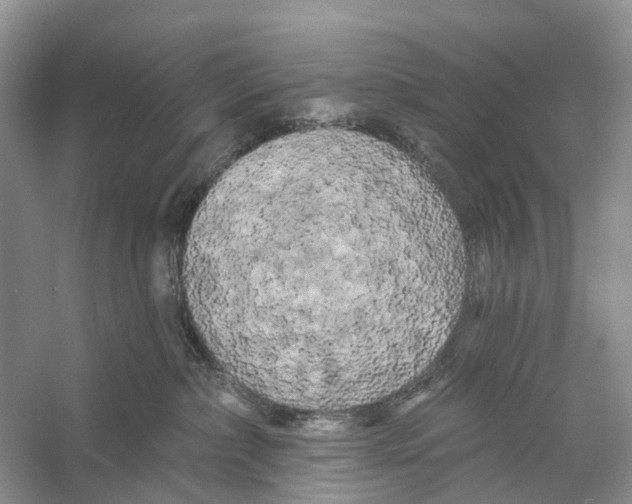 X0000053140236200508081352