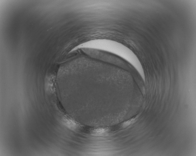 X0000053140237200508081352