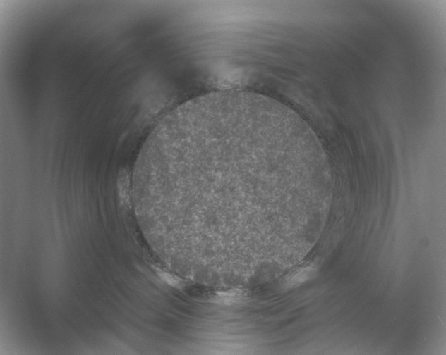X0000053140240200508081352
