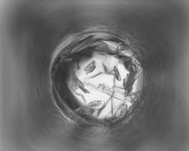 X0000053140245200508081352