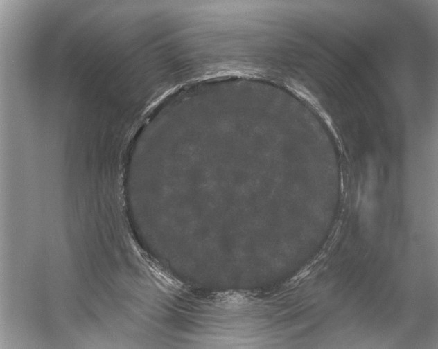 X0000053140249200508081352
