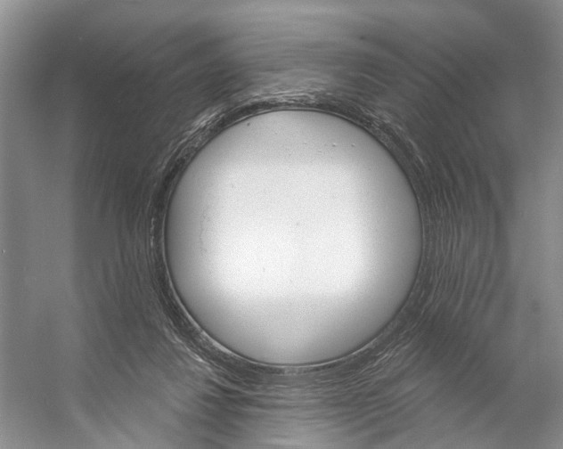 X0000053140260200508081352