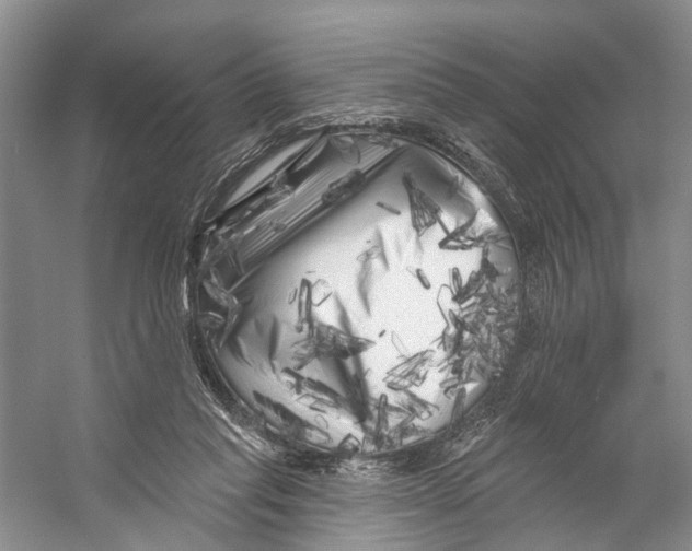 X0000053140261200508081352