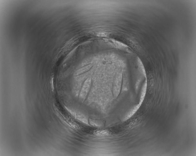 X0000053140262200508081352