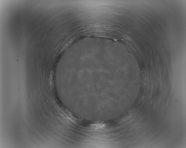 X0000053140266200508081352