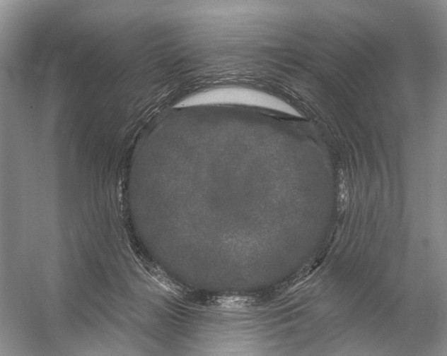 X0000053140268200508081352