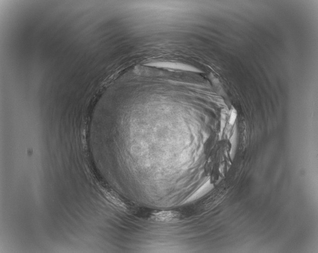 X0000053140269200508081352