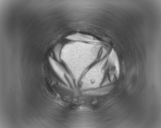 X0000053140270200508081352