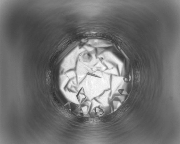 X0000053140278200508081352
