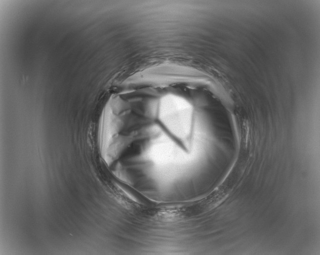 X0000053140280200508081352