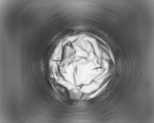 X0000053140282200508081352