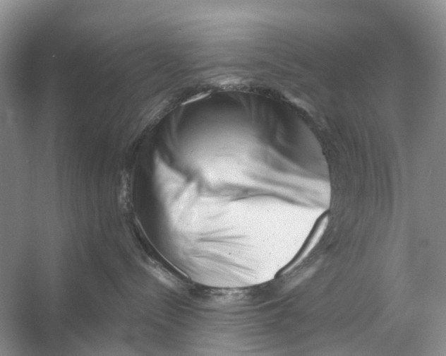X0000053140288200508081352
