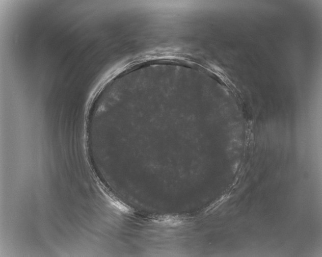X0000053140293200508081351