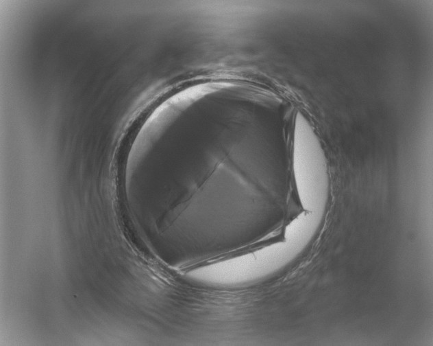 X0000053140295200508081351
