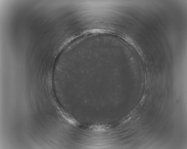 X0000053140297200508081351