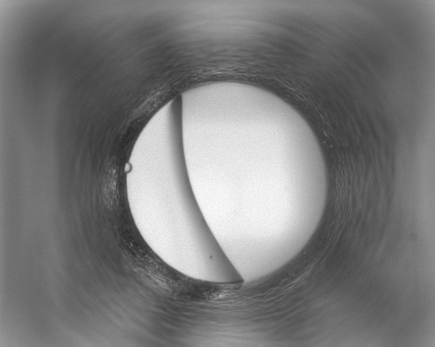 X0000053140308200508081351