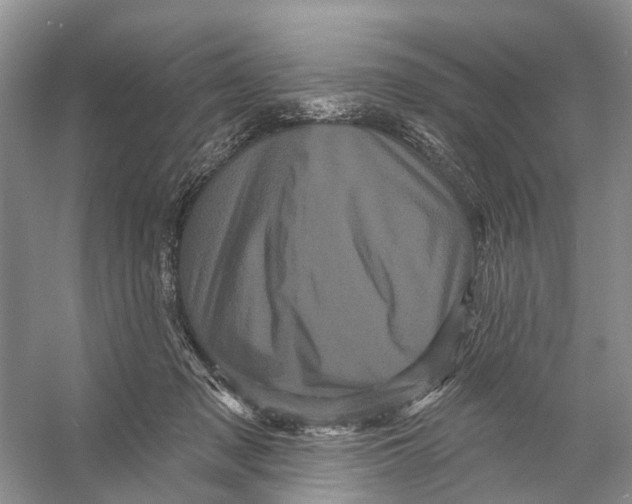 X0000053140317200508081351