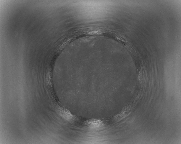 X0000053140322200508081351