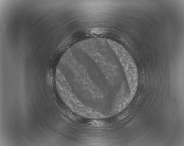 X0000053140328200508081351