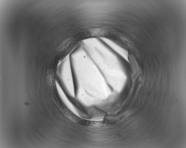 X0000053140329200508081351