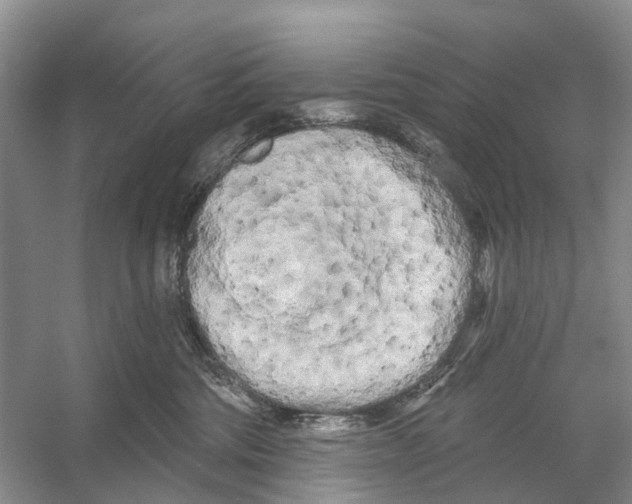 X0000053140330200508081351